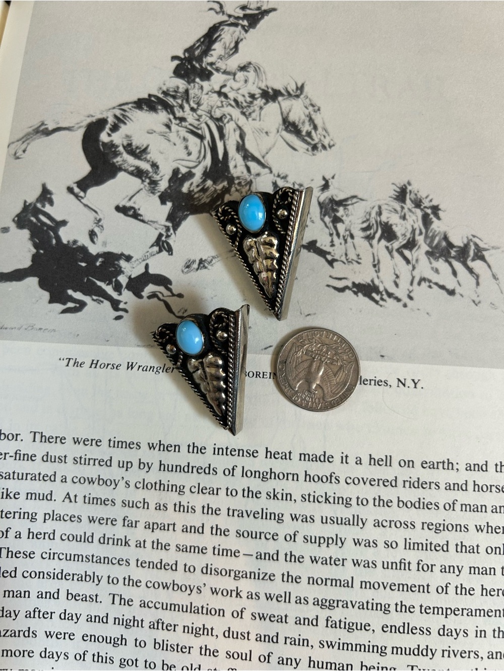 Double D Ranch Turquoise Triangular Silver Collar Tips - Picture 2 of 6